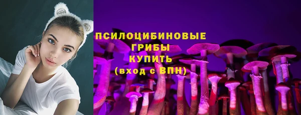 прущая мука Киреевск