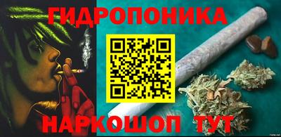 стаф Пенза