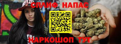 стаф Пенза