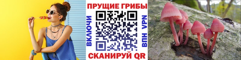 где купить наркоту  Рассказово  Галлюциногенные грибы Magic Shrooms 