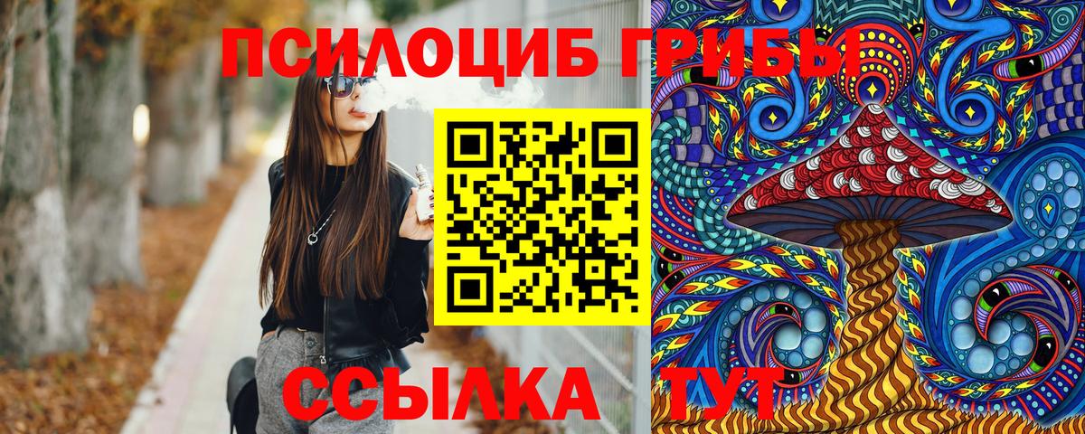 Рассказово  Галлюциногенные грибы Cubensis  Вход с VPN 