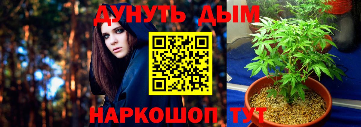 Марихуана OG Kush  Бошки Шишки AK-47  Шишки марихуана сатива  МАРИХУАНА тримм  Рассказово  Вход с VPN 